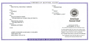 Gibson's AKC Registration certificate