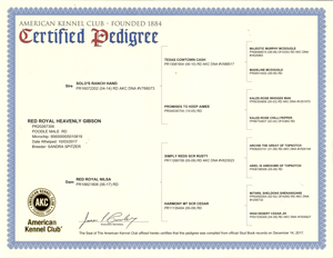 Gibson's AKC Certified Pedigree